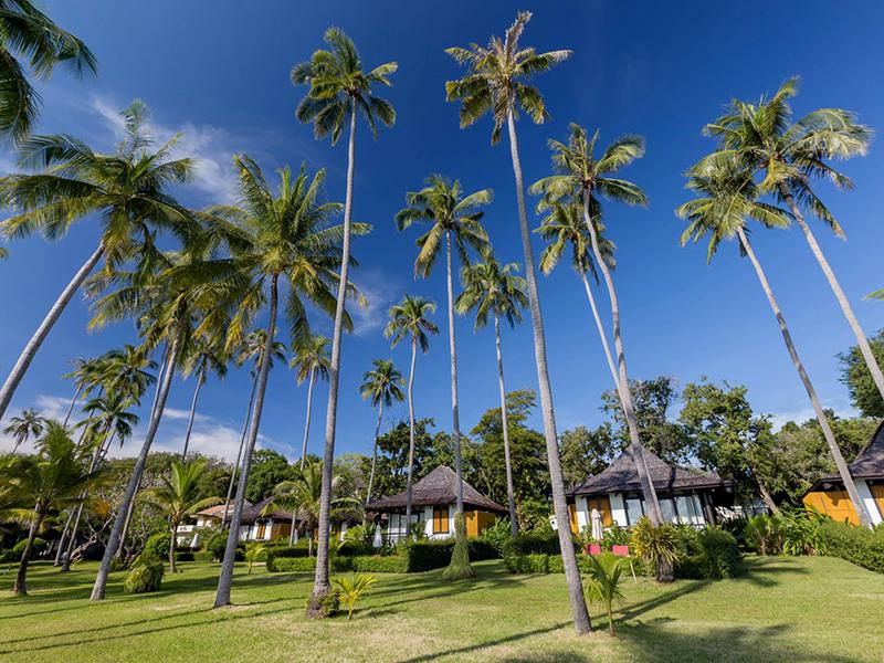 Hotel image Vijitt Resort Phuket