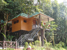 Khaosok Rainforest Resort