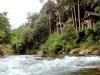 Hotel image Khaosok Rainforest Resort