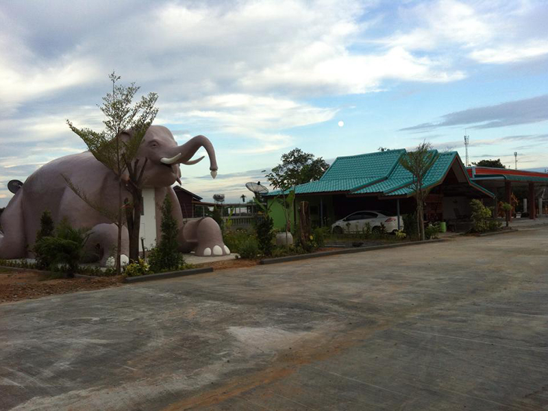 ช้าง รีสอร์ท สุรินทร์