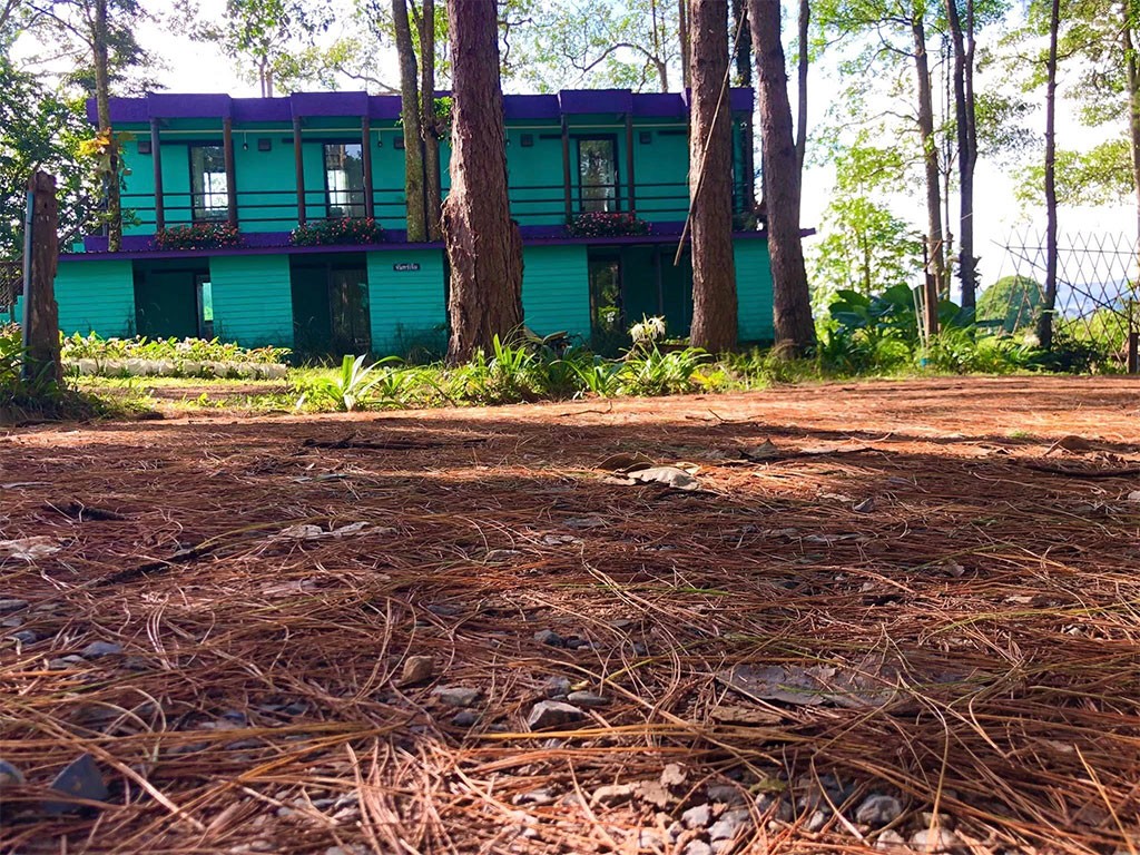 สตรอเบอรี่ ฮิลล์