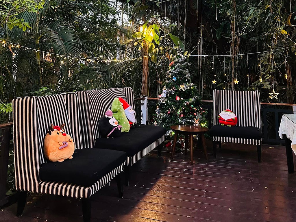 โรงแรมบ้านต้นไม้