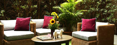 The Peaberry Chiangmai