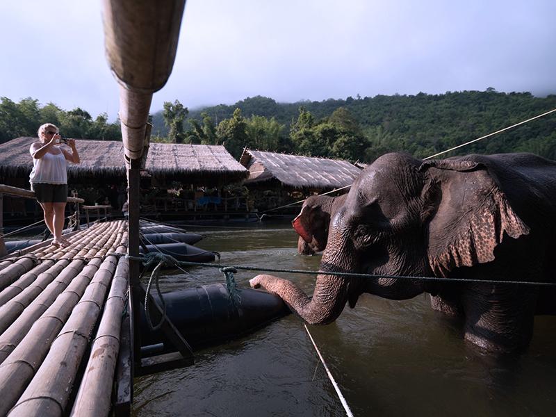 Hotel image River Kwai Jungle Rafts