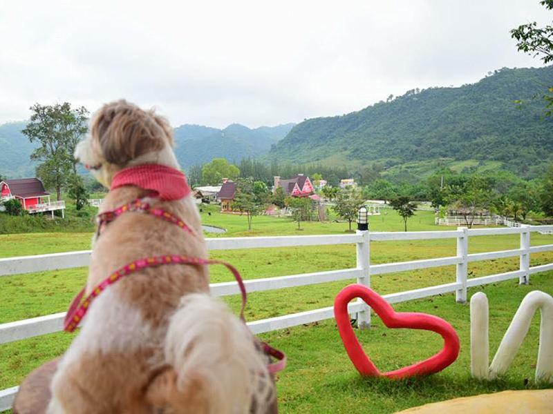 皇家景观度假村与农场酒店