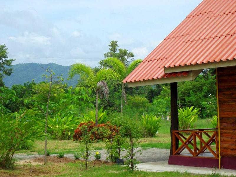 Hotel image 金景度假村