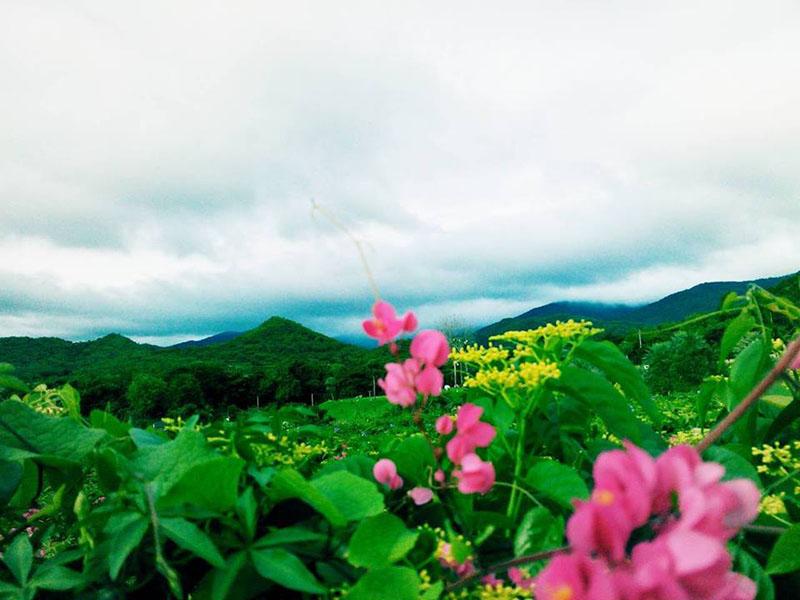 Hotel image 瑞士山谷希普度假村酒店