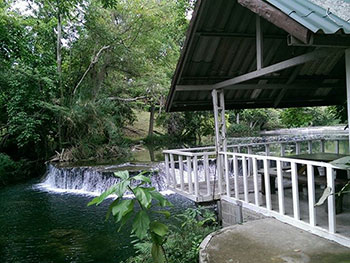 ไร่กุสุมา