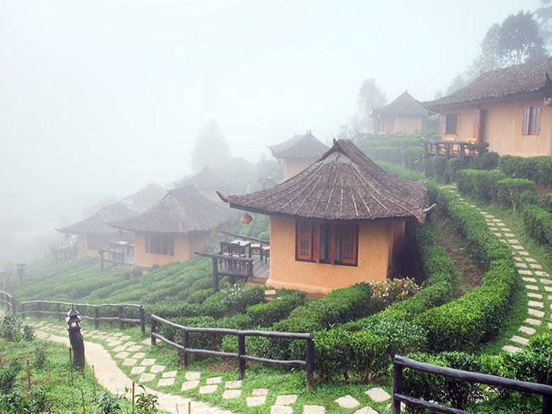 李酒鲁格泰式度假村