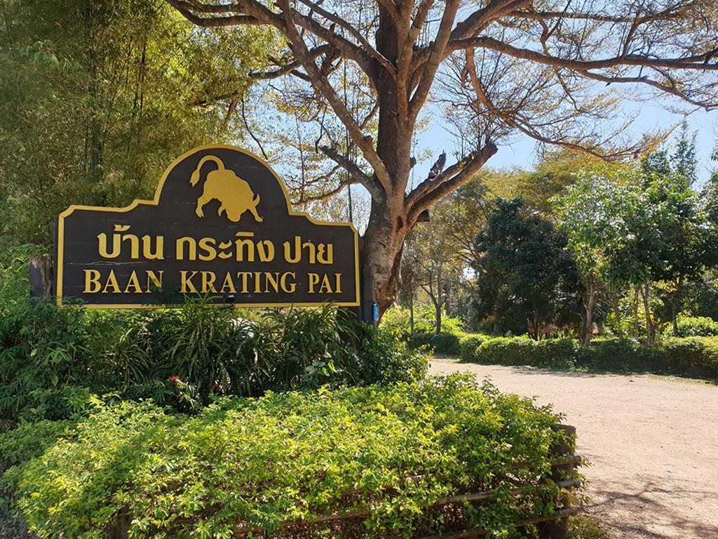 บ้านกระทิงปาย