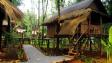 Bamboo Hideaway