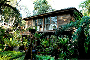 Fern Paradise Chiang Mai