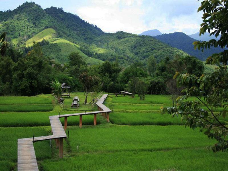 Hotel image 清莱萨恩阿茹度假村