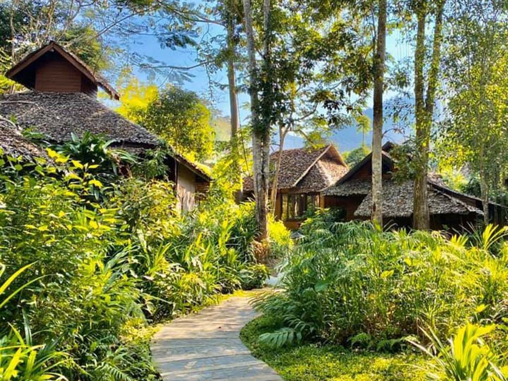 เฟิร์น รีสอร์ท