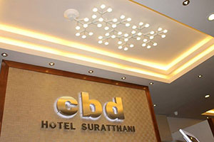 CBD素拉泰尼酒店（CBD Hotel）