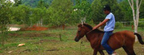 Horse riding around resort