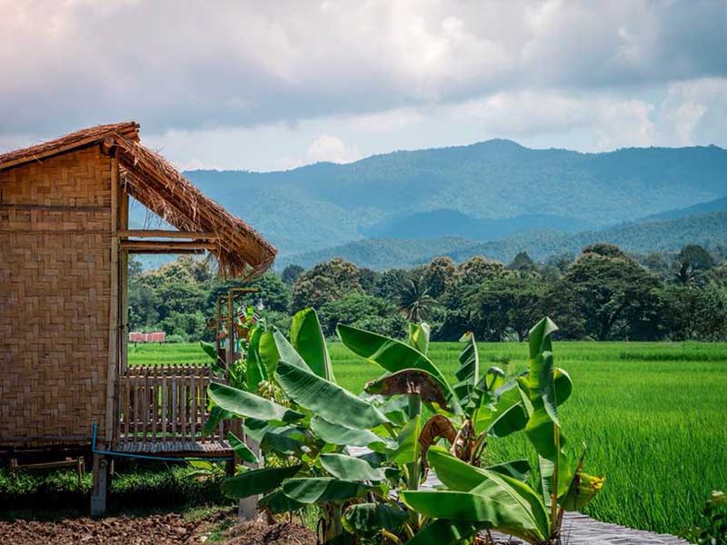 Hotel image 纳尼鲁安迈度假村