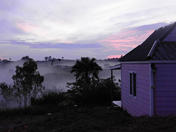 可爱的农场 考哥(Lovely Farm Khaoko)