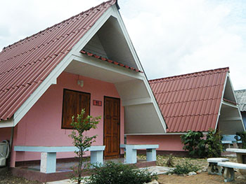 P&P House Chiang Muan