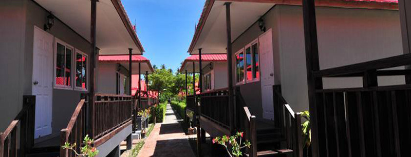 phi phi little star resort