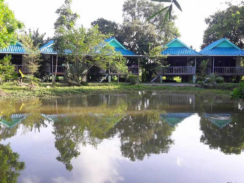 附近的酒店 潘根农场住宿度假村（Phangan Farm Stay Resort）