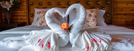 rose maldives resort