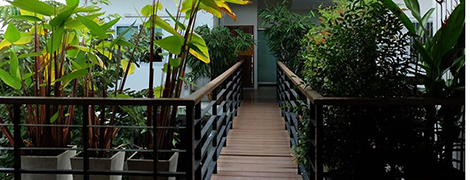 Schon Bedroom and Coffee