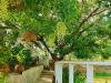 Hotel image San Sabai The Cottages