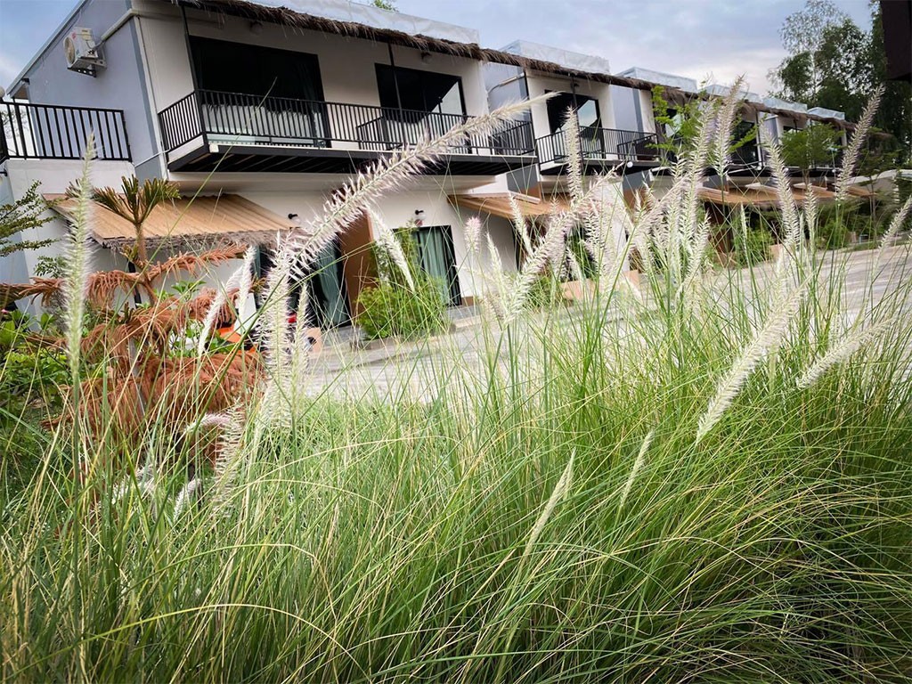 สุวิ โคโค่ วิลล์ รีสอร์ท