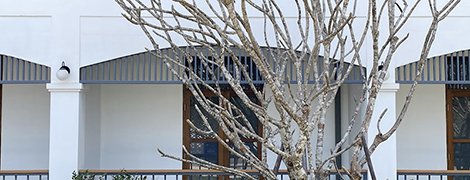 baan chiang bed lampang