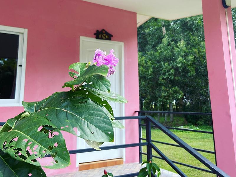 ออน เดอะ เวย์ คอฟฟี่ รีสอร์ท