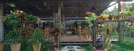 vieng kaew resort fang