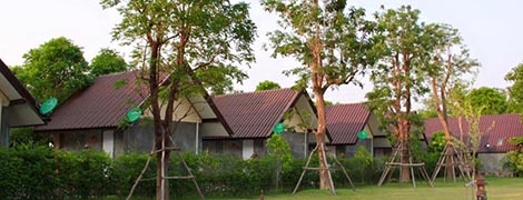 maihom resort chainat