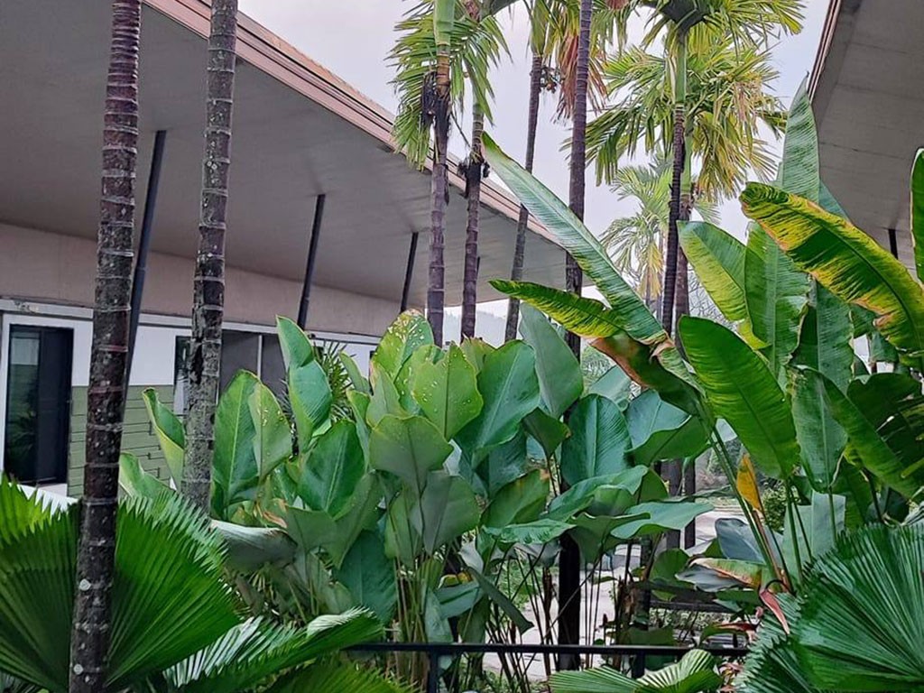 มิลา การ์เดนท์