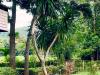 Hotel image Moosi Yard Hometel Khaoyai