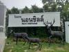 Hotel image Nornchill Khao Yai
