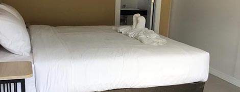 mee and tree mansion