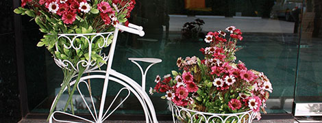 city park hotel phatthalung