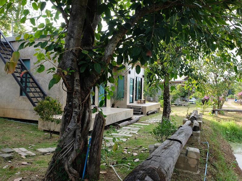 ชั่งฝัน รีสอร์ท เชียงราย