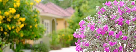 wangpla villa resort