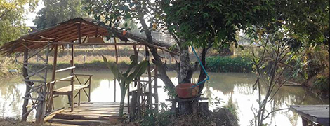 ingna resort chanuman