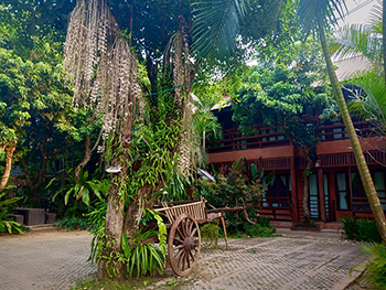 Namkhong Guesthouse and Resort