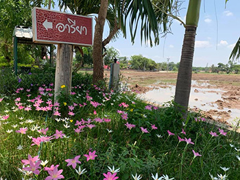 Areeya Resort Chaiyaphum