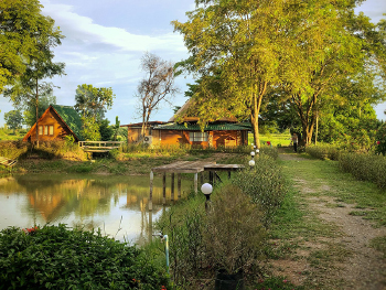 ไรซ์ฟิลด์โฮม ฟาร์มสเตย์ แอนด์ คาเฟ่