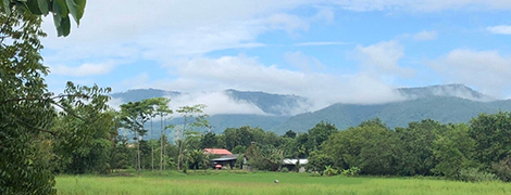 loei1000miles resort dansai