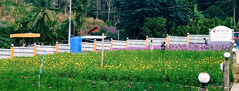 baan buppachat resort