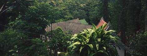 baan klang doi resort