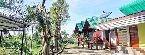 Plook Ngern Resort