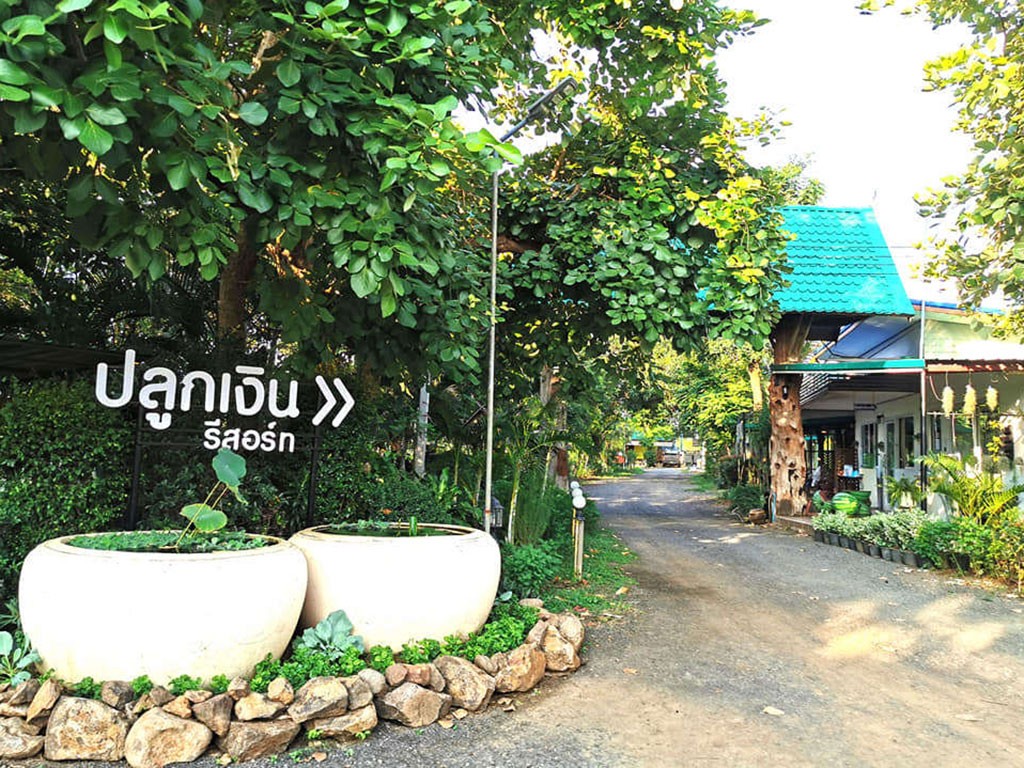 ปลูกเงิน รีสอร์ท