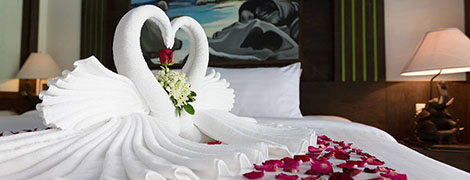 naina resort and spa